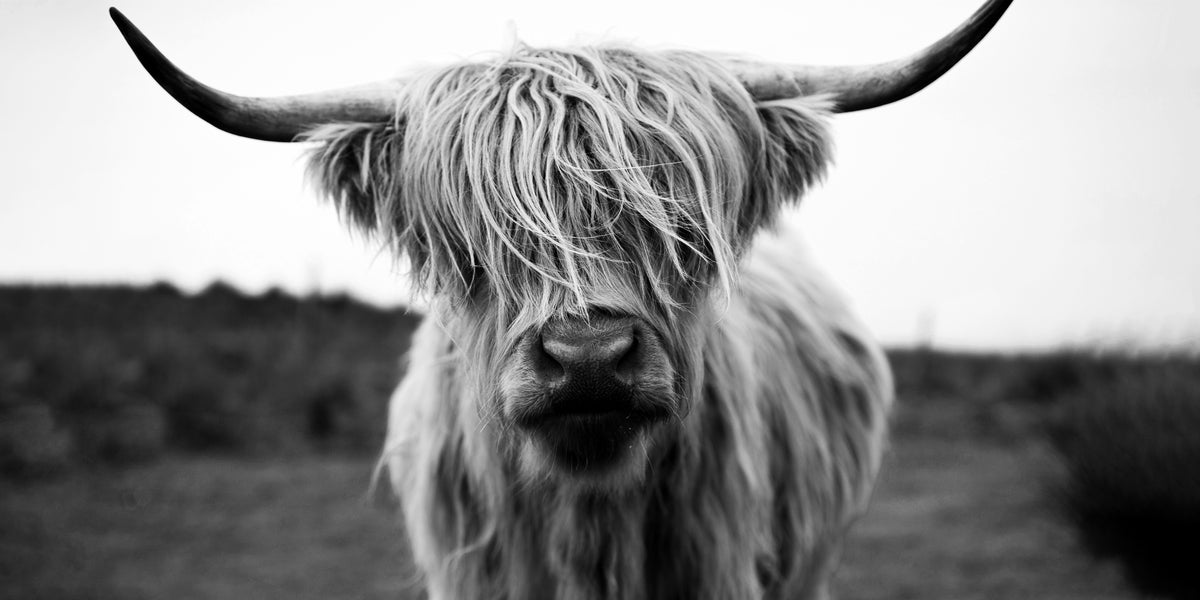 Modern Wall Art Decor Ideas