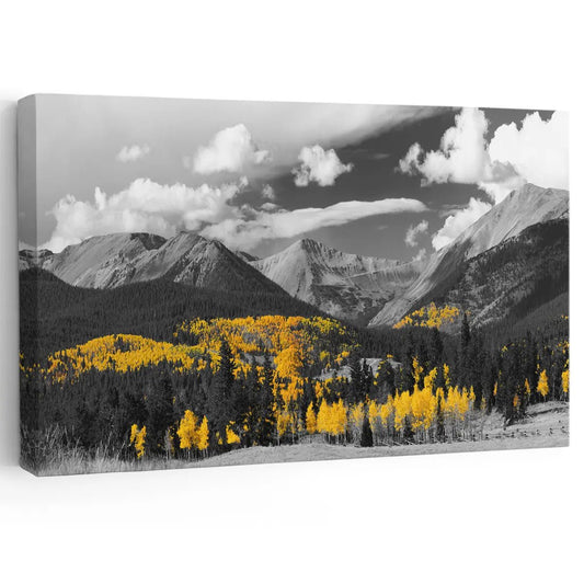 Aspen forest with golden leaves canvas wall art for a peaceful living room, adding modern contrast and a calming natural ambience.