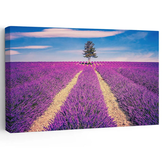 Lavender field rows canvas wall art for a peaceful living room wall art display, bringing calming purple tones to modern home décor