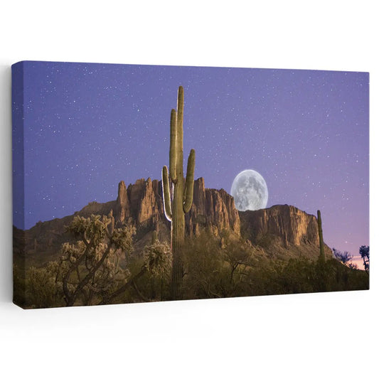 Arizona desert cactus canvas wall art for a bold living room wall art accent, adding warm Southwest tones and rugged evening beauty