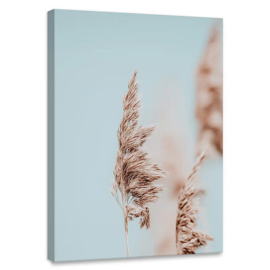 Pampas grass minimal coastal canvas print for living room — soft beige tones and muted blue background for peaceful modern décor.