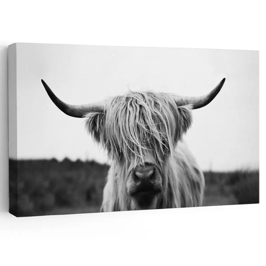 large highland cow canvas wall art - farmhouse decor for living room