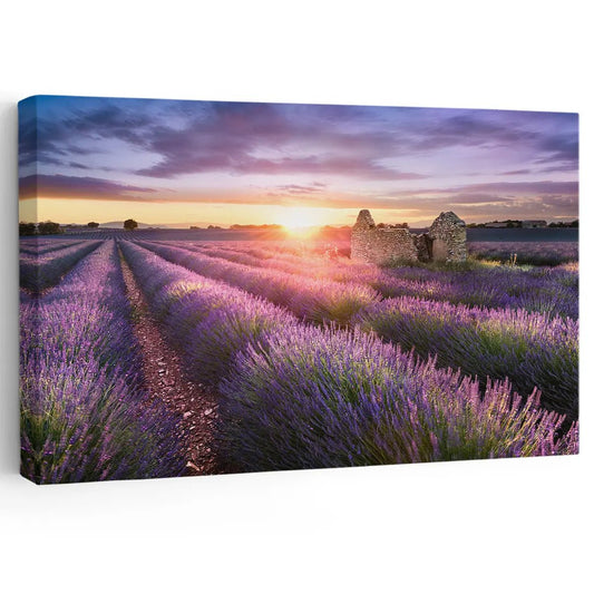 Lavender field sunset canvas wall art for living room décor creating a peaceful atmosphere with warm golden light across blooming rows