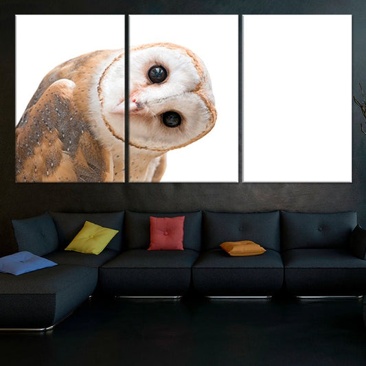Barn owl with soulful gaze — large canvas wall art in warm neutral tones, ideal for farmhouse or cozy home decor.