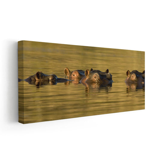 Resting hippos in a calm golden palette — large canvas wall art ideal for a rustic bedroom, creating a soothing and earthy decorative accent.
