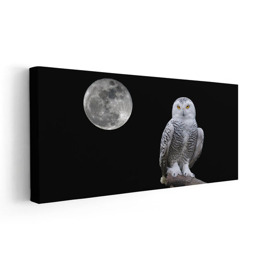 Moonlit owl perched in soft grayscale — large canvas wall art ideal for a living room, creating a serene and atmospheric nighttime vibe.