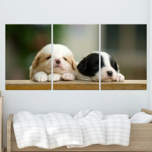 Adorable baby collie dogs — large canvas wall art for nursery, soft neutral tones creating a joyful and heartwarming kids’ room décor.