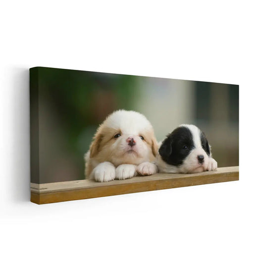 Cute collie puppies resting — modern canvas wall art, cozy pet design that adds warmth and happiness to nursery or children’s bedroom.