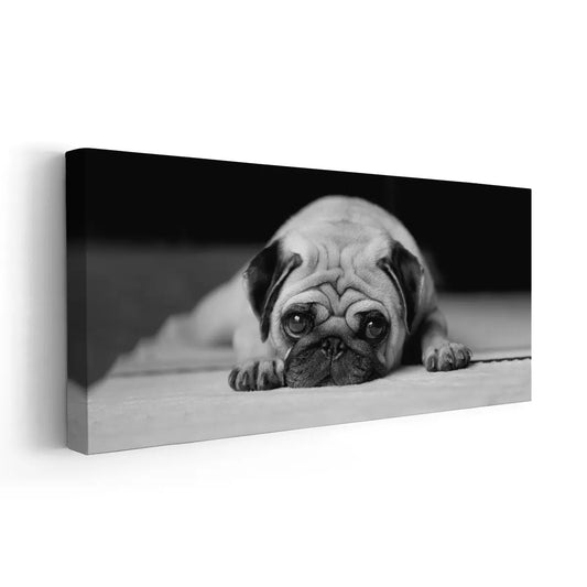 Cute pug resting — modern canvas wall art, black and white minimalist design ideal for bedroom or cozy living room interiors.