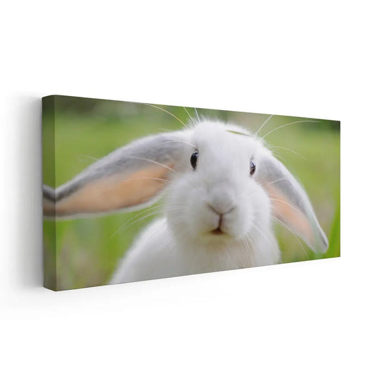 White bunny rabbit — modern canvas wall art, soft green and cream palette ideal for kids’ bedroom or springtime nature-inspired interiors.