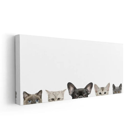 Puppy and kitten faces — large canvas wall art, neutral white tones bringing calm and happiness to modern bedroom décor.