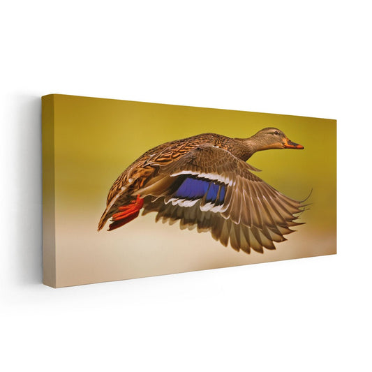 Soaring duck bird in warm abstract palette — large canvas wall art ideal for bedroom décor, creating a calming atmosphere with vivid feather details