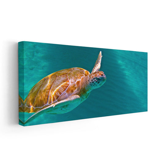 Maui ocean turtle in bold turquoise palette — large canvas wall art perfect for bedroom décor, adding peaceful coastal energy to modern spaces