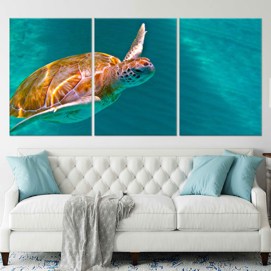 Green sea turtle canvas wall art for living room décor, bringing a calming tropical vibe with vibrant ocean tones to brighten any coastal home