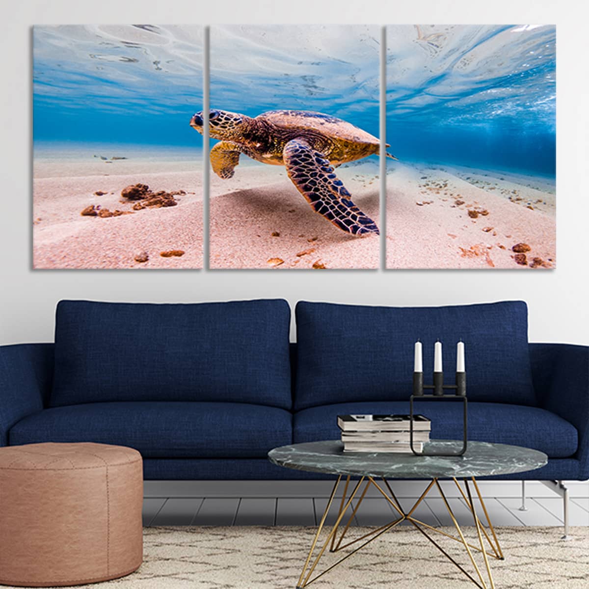 Sea Turtle Wall Art Set