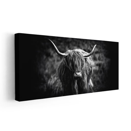 Highland bull portrait — modern canvas wall art in black and white tones, perfect for farmhouse or contemporary decor.