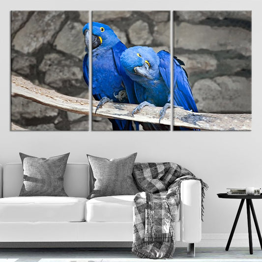 Blue parrots on branch — large canvas wall art, vibrant nature scene adding elegance and warmth to coastal or tropical home interiors.