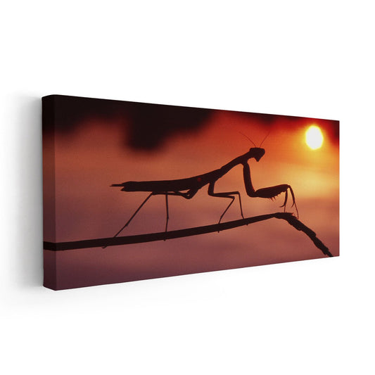 Mantis on branch in glowing orange light — large canvas wall art perfect for bedroom spaces, bringing an inspiring and modern wildlife touch