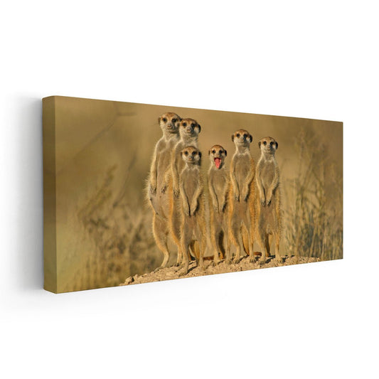 Group of meerkats in sunlit desert—large canvas wall art ideal for bedroom styling, creating a peaceful and warm safari-inspired atmosphere