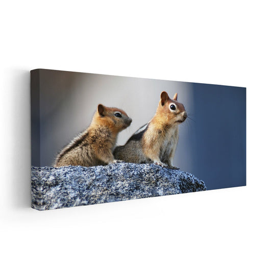Squirrel duo perched on winter branch—large canvas wall art ideal for bedroom styling, creating a peaceful and nurturing woodland atmosphere