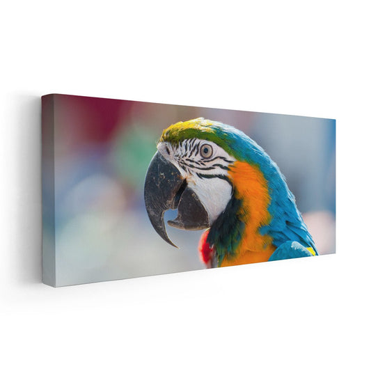Colorful macaw with bright feathers—large canvas wall art ideal for bedroom styling, creating an inspiring and energetic atmosphere with bold hues