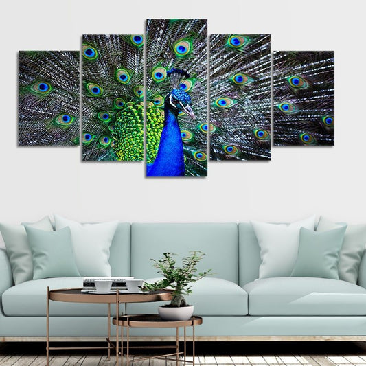 Vibrant blue peacock with open feathers — large canvas wall art for living room, symbolizing pride and natural beauty.