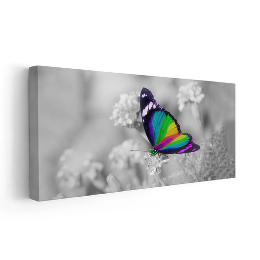 Vibrant butterfly motif in grayscale background — large canvas art perfect for bedroom wall art, creating an inspiring and colorful accent for any room.