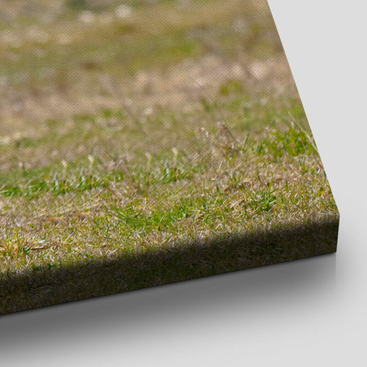 Majestic Longhorn cattle — modern canvas wall art, warm countryside palette creating cozy, inspiring ambiance for western-style interiors.