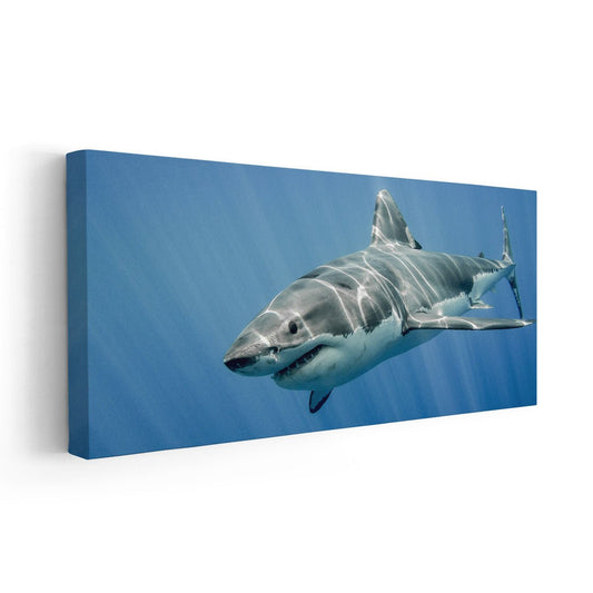 Underwater shark scene — modern canvas wall art, dynamic ocean palette creating a powerful aquatic vibe for coastal home interiors.