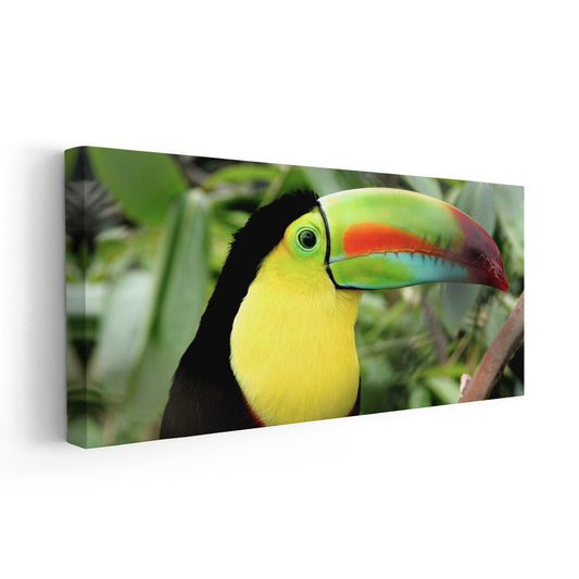 Tropical toucan portrait in bright tones — large canvas wall art ideal for bedroom décor, adding lively rainforest charm with a calming natural feel.