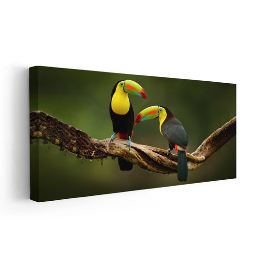 Colorful toucans — modern canvas wall art, lush rainforest palette enhancing natural ambiance in bright and contemporary interior spaces.
