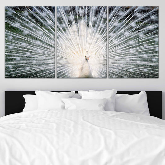 Elegant white peacock — modern canvas wall art for bedroom, radiant feather design symbolizing grace and peace in minimalist décor.