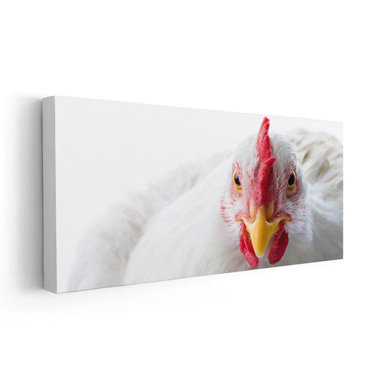 Minimalist white hen — modern canvas wall art, detailed feathers and neutral tones creating an elegant farmhouse kitchen wall décor.