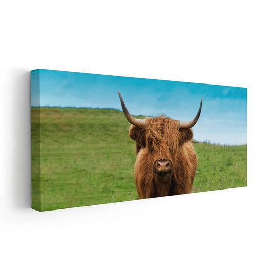 Scottish highland cow portrait — large canvas wall art, charming rustic design ideal for farmhouse kitchen or country home décor.