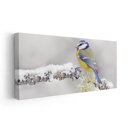 Blue-yellow songbird in pastel winter tones — large canvas wall art perfect for bedroom décor, bringing a calming nature accent to the space