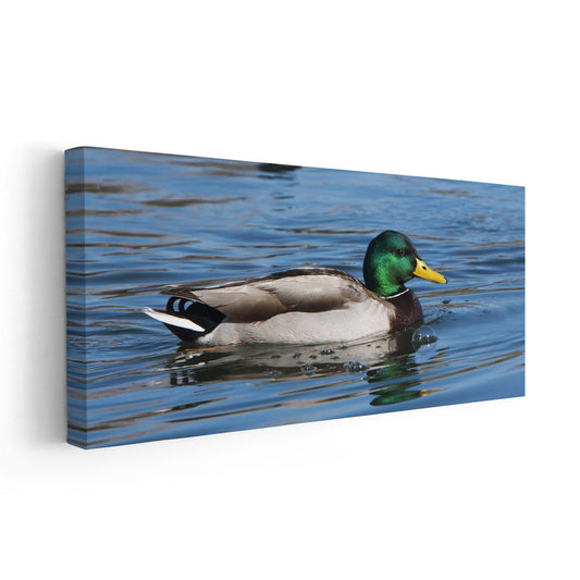 Green-headed mallard in soft lake reflections — large canvas wall art perfect for bedroom décor, bringing a serene wildlife touch to the space