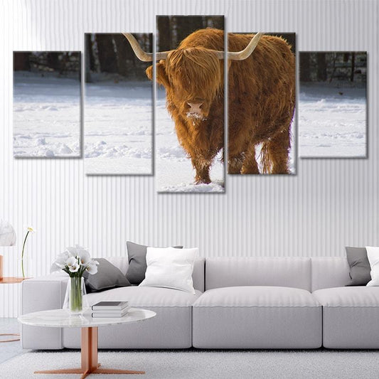 Scottish hairy cow — modern canvas wall art, inspiring rustic-style décor perfect for living room or countryside farmhouse interiors.
