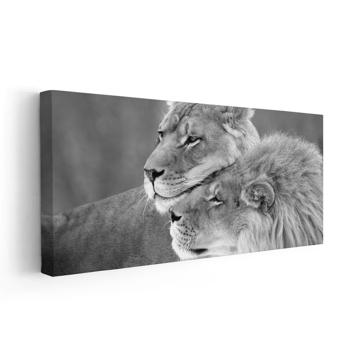 Lion Couple Love Black And White Wall Art-Stunning Canvas Prints