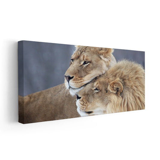 Majestic lions resting — large canvas wall art, rustic and powerful wildlife theme adding character to farmhouse or modern interiors.