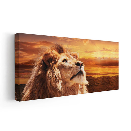 Lion gazing upward at a glowing sunset — canvas wall art for living room décor, adding inspiring warmth and a bold wildlife centerpiece.