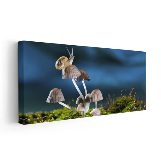 Snail on mushrooms — modern canvas wall art, earthy woodland palette inspiring serenity and connection to nature in bedroom décor.