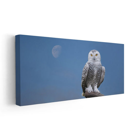 White owl — modern canvas wall art, moonlit blue background evoking calm and serenity, perfect for peaceful bedroom or office setting.