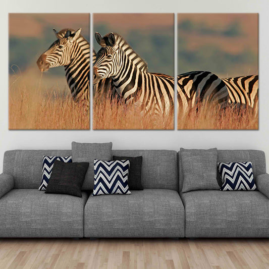 Wild African zebras in golden grass — canvas wall art for a modern living room, adding a peaceful safari aesthetic and warm wildlife charm.