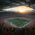 Stadium Wall Art