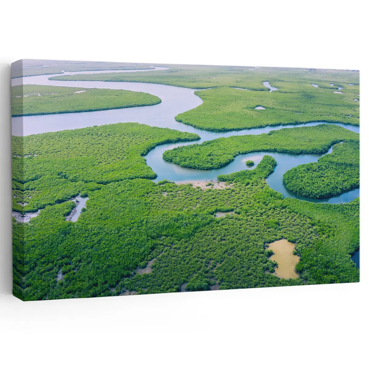 Amazon Rainforest Wall Art Canvas