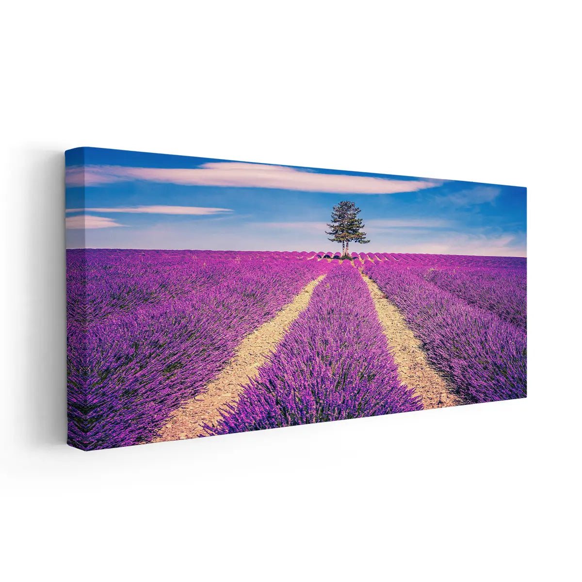 Majestic Lavender Field Wall Art Canvas