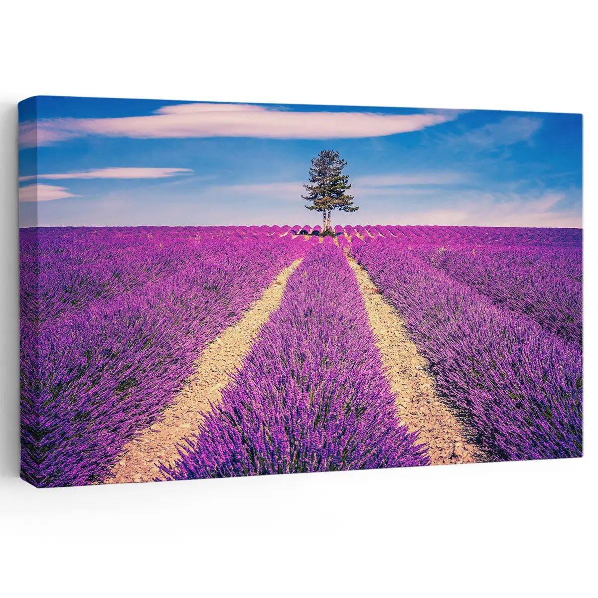 Majestic Lavender Field Wall Art Canvas
