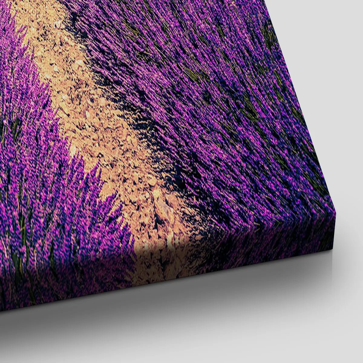 Majestic Lavender Field Wall Art Canvas