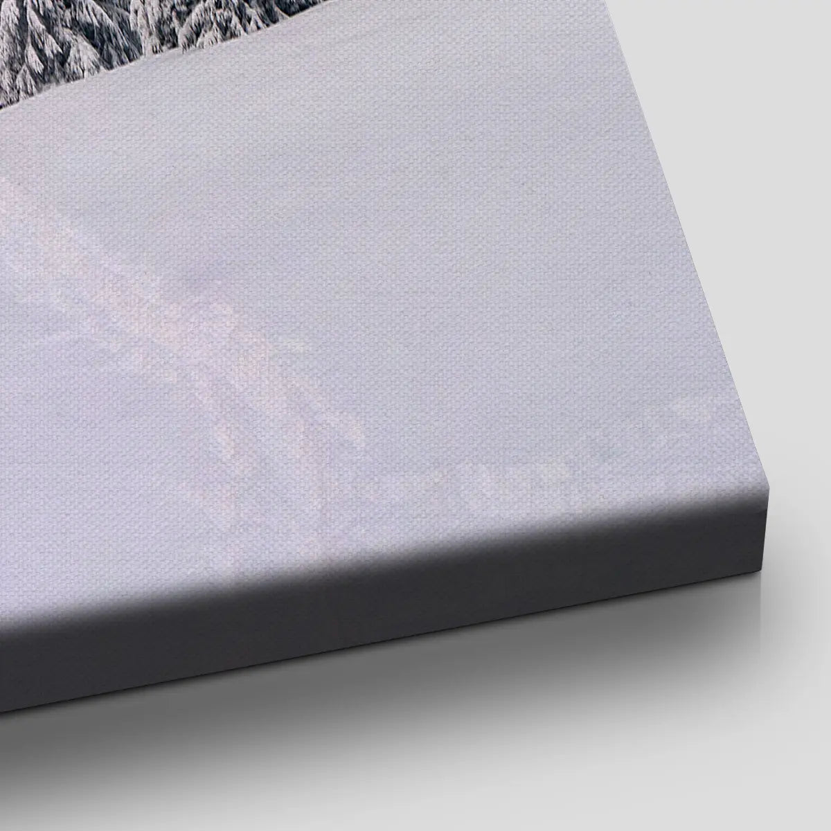 Snowy Pine Forest Wall Art Canvas