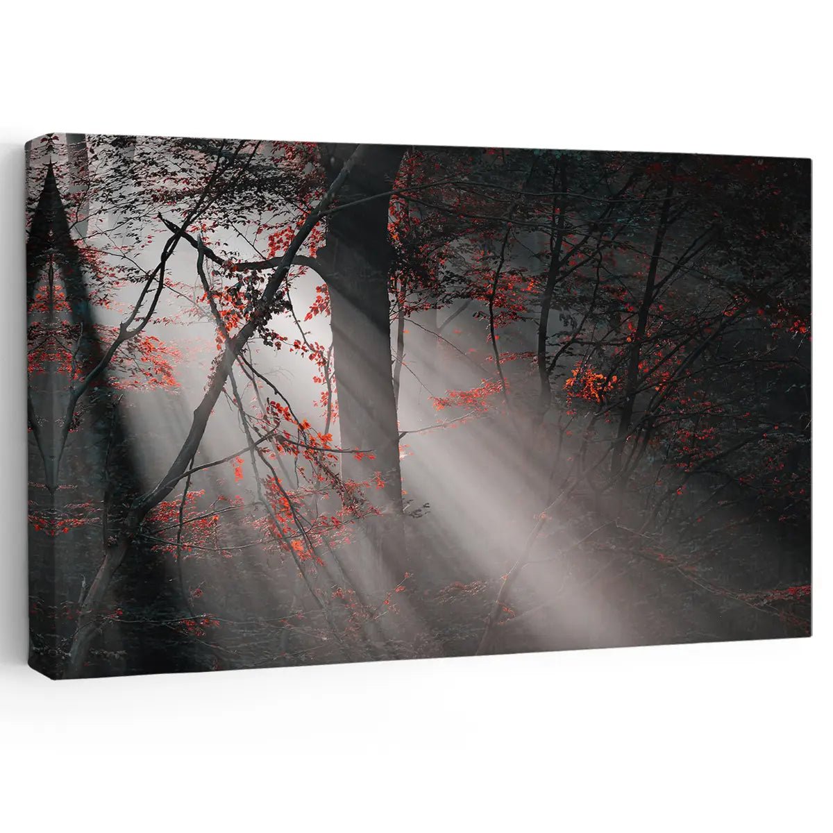 Misty Forest Wall Art Canvas